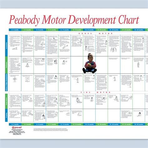 Free Printable Peabody Motor Development Chart Pdf